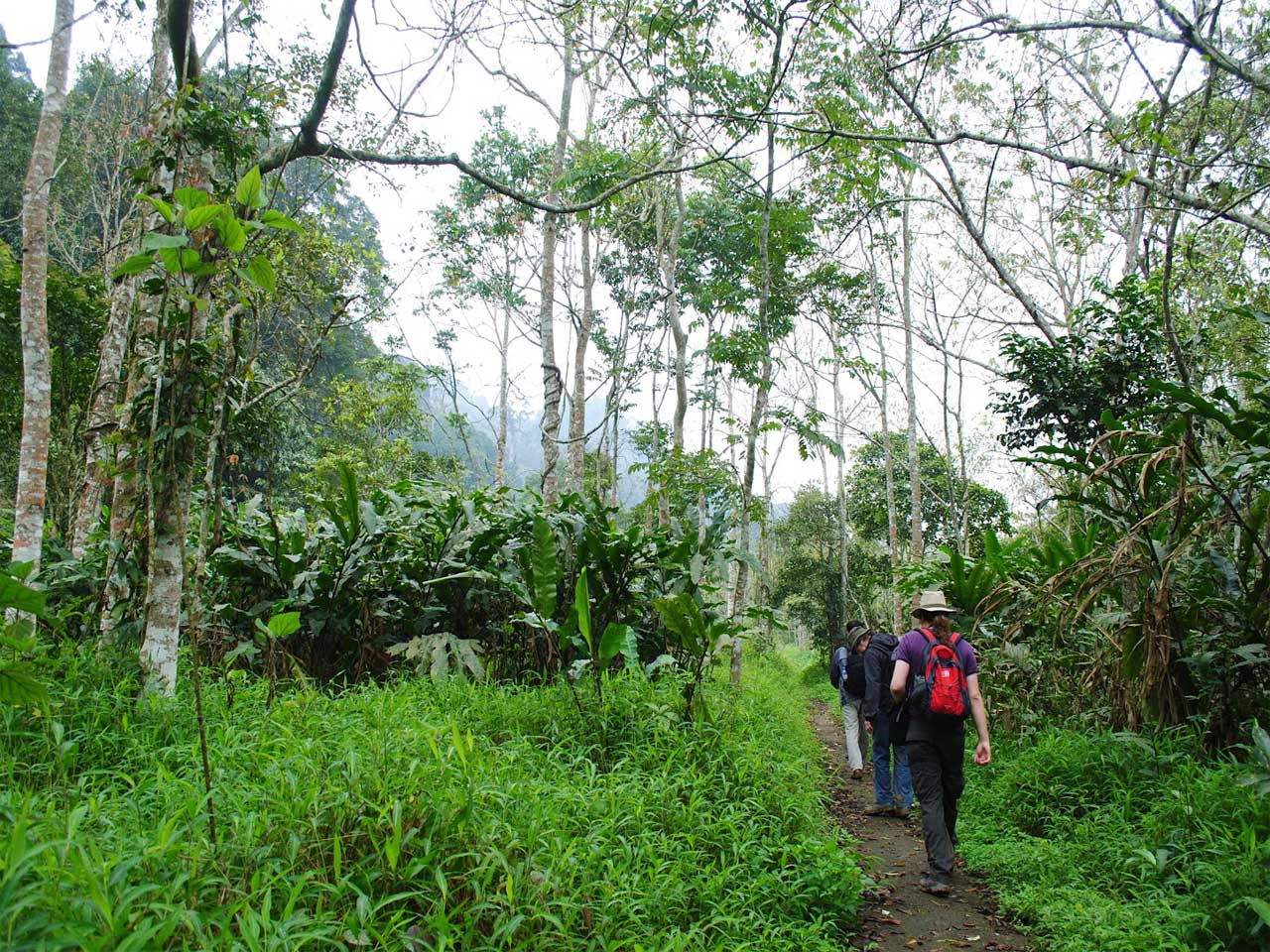 Cuc Phuong Jungle Trek 2 Days